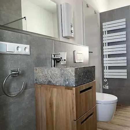 Moderne, Stilvolle In Apartment Eich (Alzey-Worms)